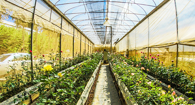 農(nóng)用邊坡綠化無(wú)紡布，汽車(chē)內(nèi)飾無(wú)紡布，家具家居無(wú)紡布，農(nóng)用邊坡綠化無(wú)紡布廠(chǎng)家，汽車(chē)內(nèi)飾無(wú)紡布生產(chǎn)，東莞市旭航新材料科技有限公司