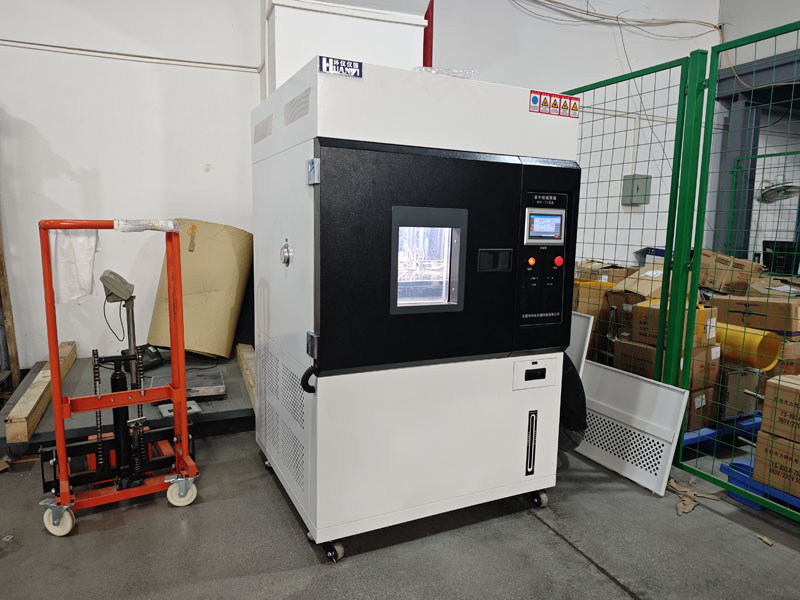 IMG_20250328_142537.jpg IMG_20250328_142537.jpg